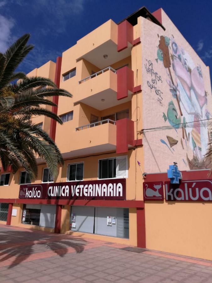 Venturamar Διαμέρισμα Gran Tarajal Εξωτερικό φωτογραφία